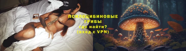 Альфа ПВП Липки