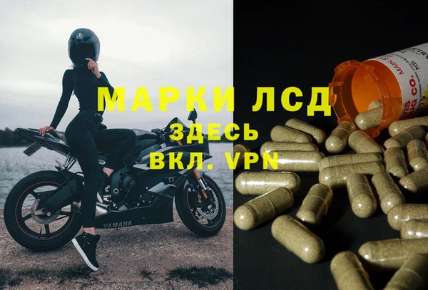 Альфа ПВП Липки