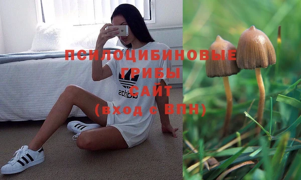 эйфоретик Лиски